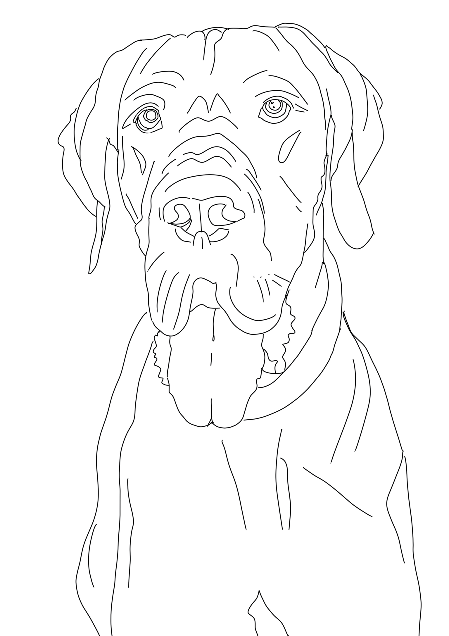 My pet sketches - image 3 - student project