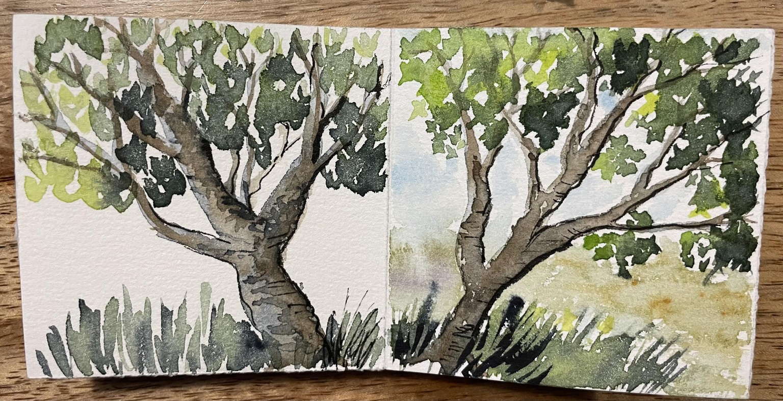Making fun trees - image 2 - student project