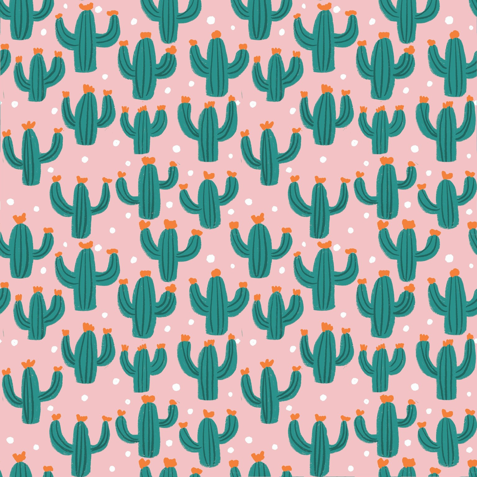 Cacti - image 1 - student project