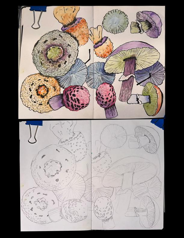Many, Many Mushrooms (feedback is welcome) - image 4 - student project