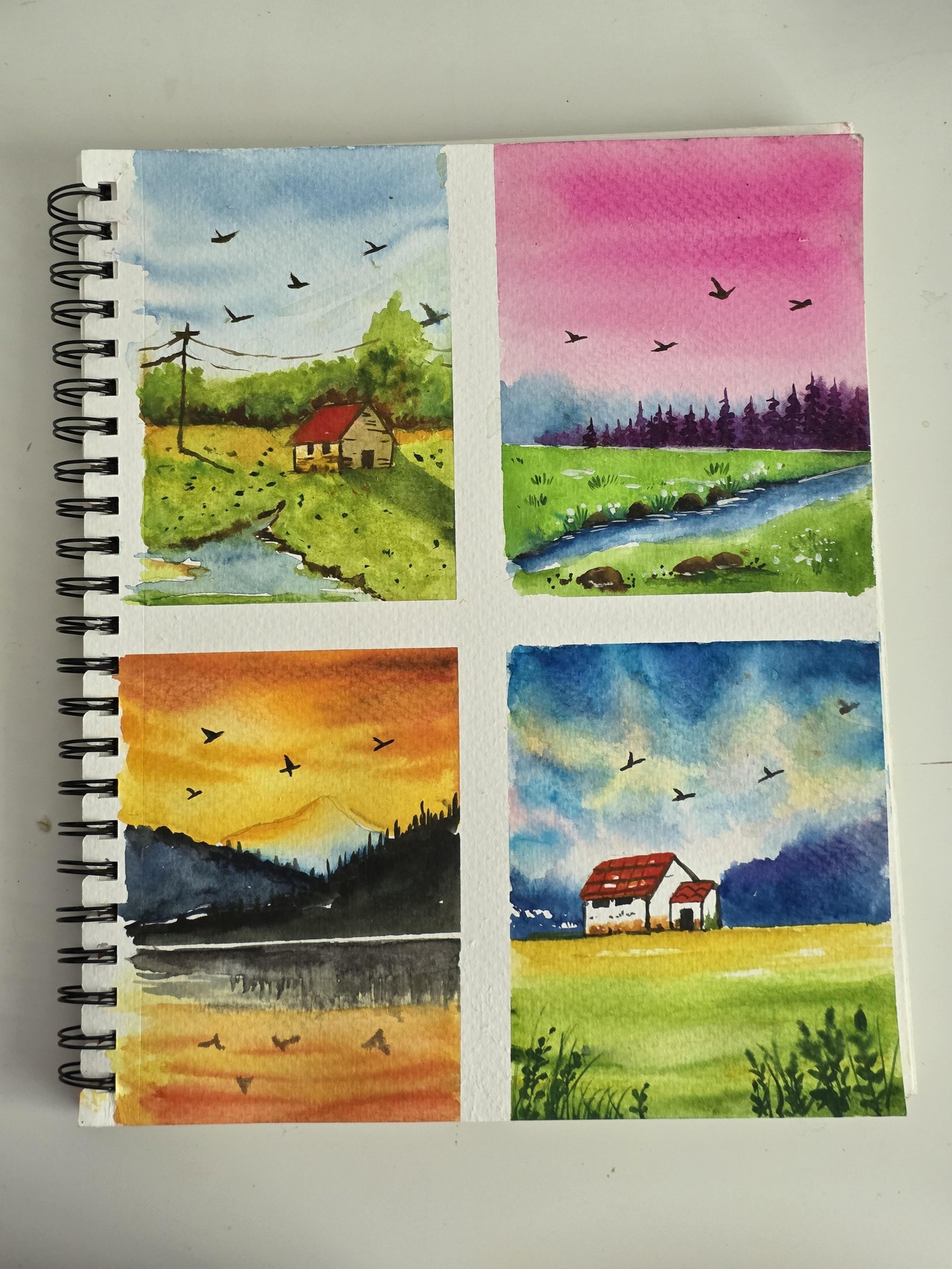 Aesthetic Landscapes : A 6-Day Watercolor Series - image 2 - student project