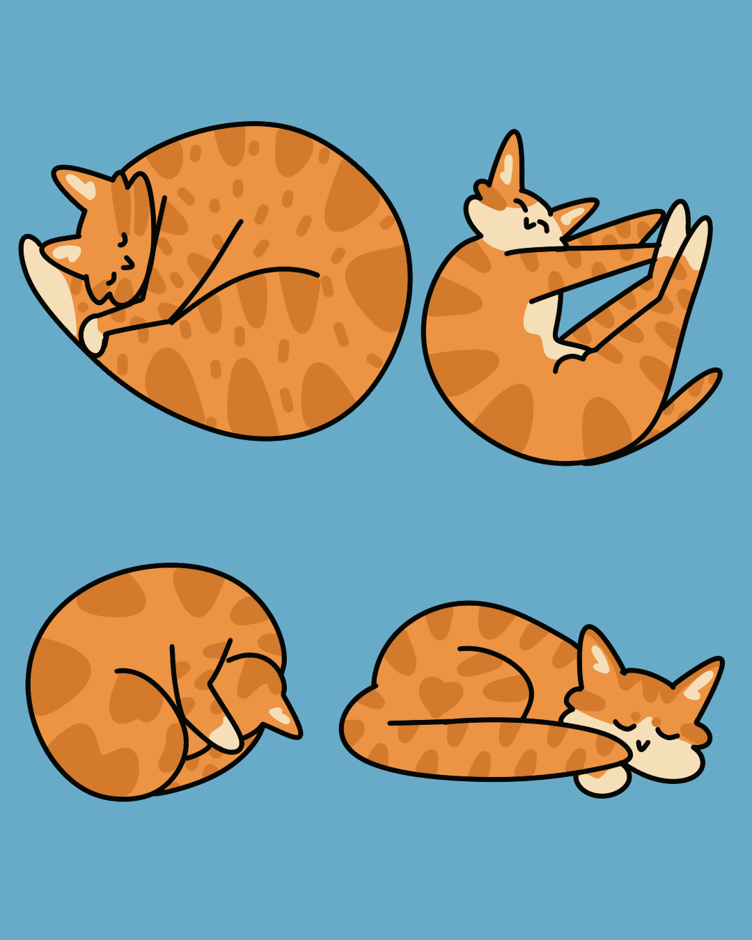 Relaxed cattoos - image 1 - student project