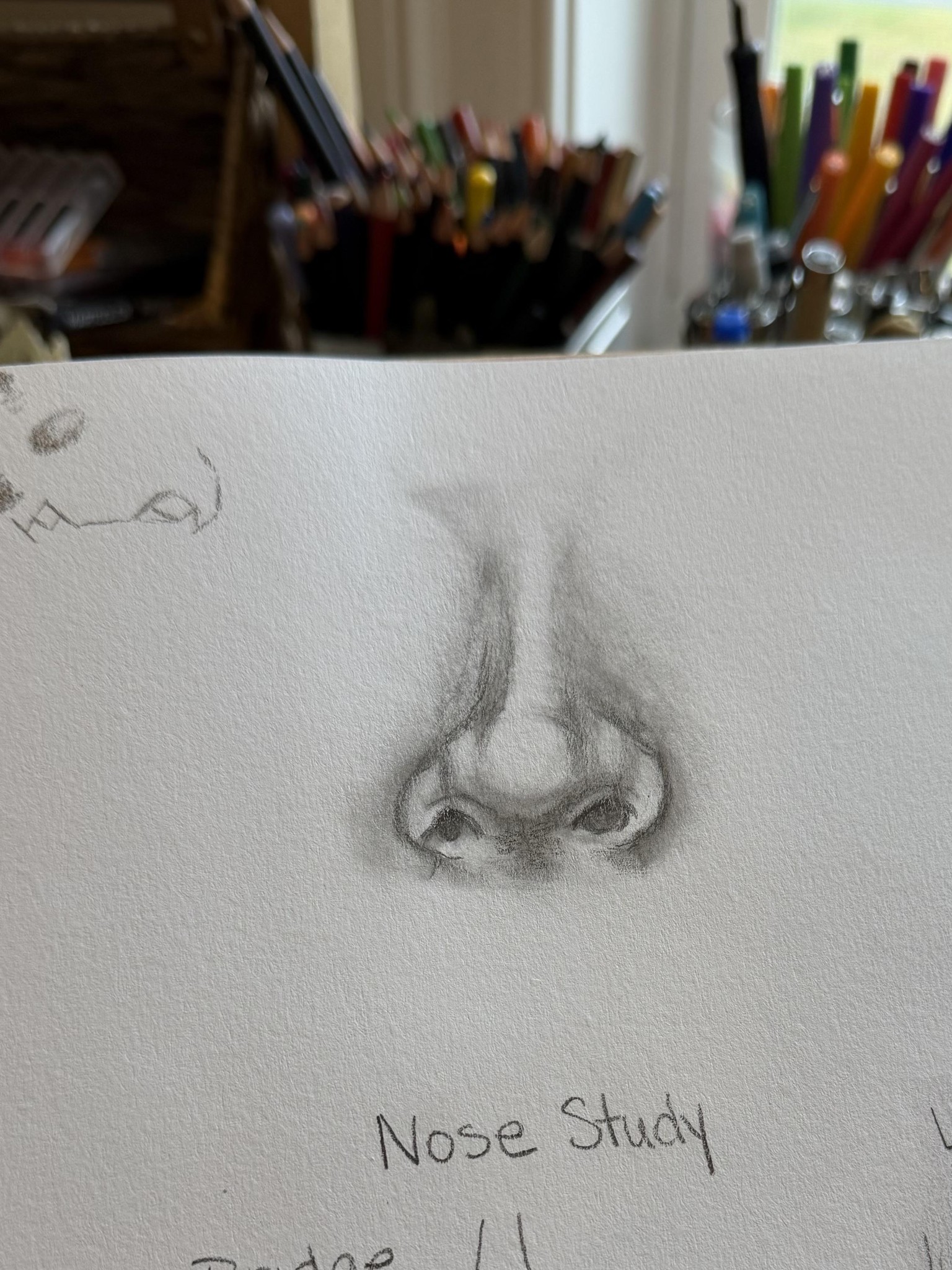 1st nose - image 1 - student project