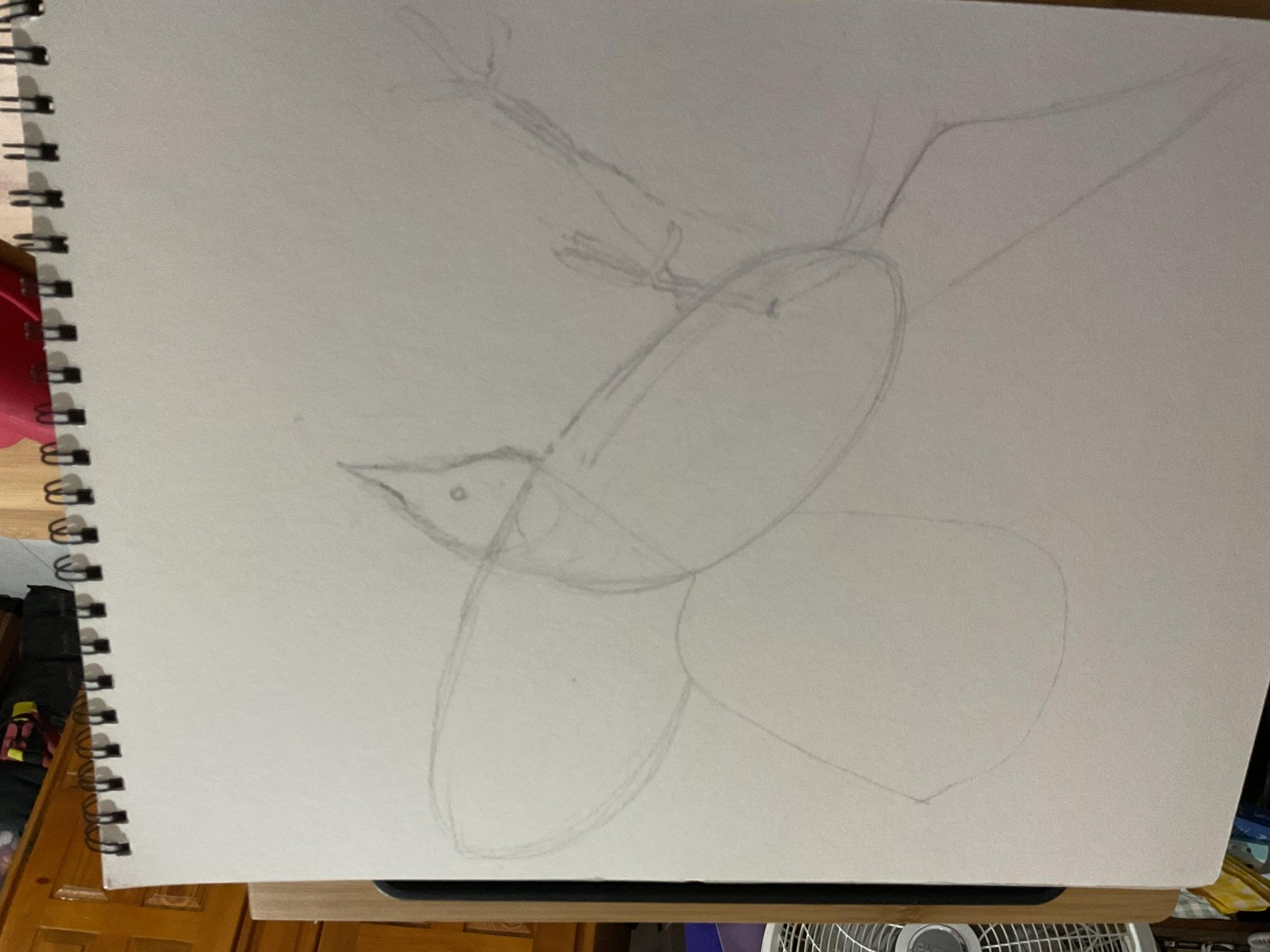 Drawing for Beginners - image 4 - student project