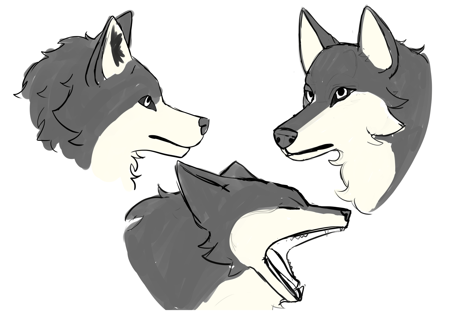 Wolf practice - image 3 - student project