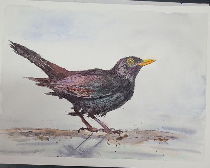 Blackbird with Will - image 1 - student project