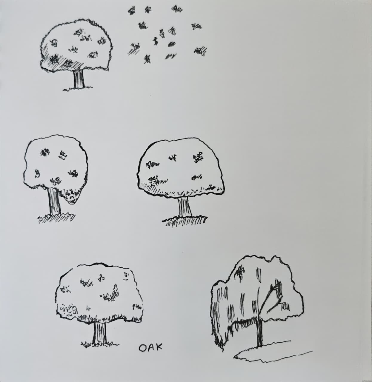 Trees ᨒ↟ 𖠰𖥧˚ - image 2 - student project