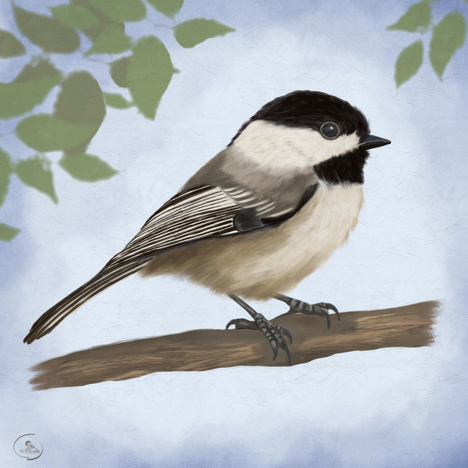 Adorable Chickadee - image 1 - student project