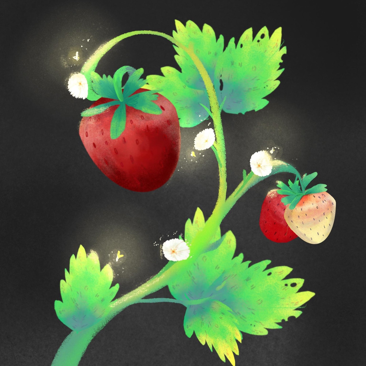 Composición de fresas - image 1 - student project