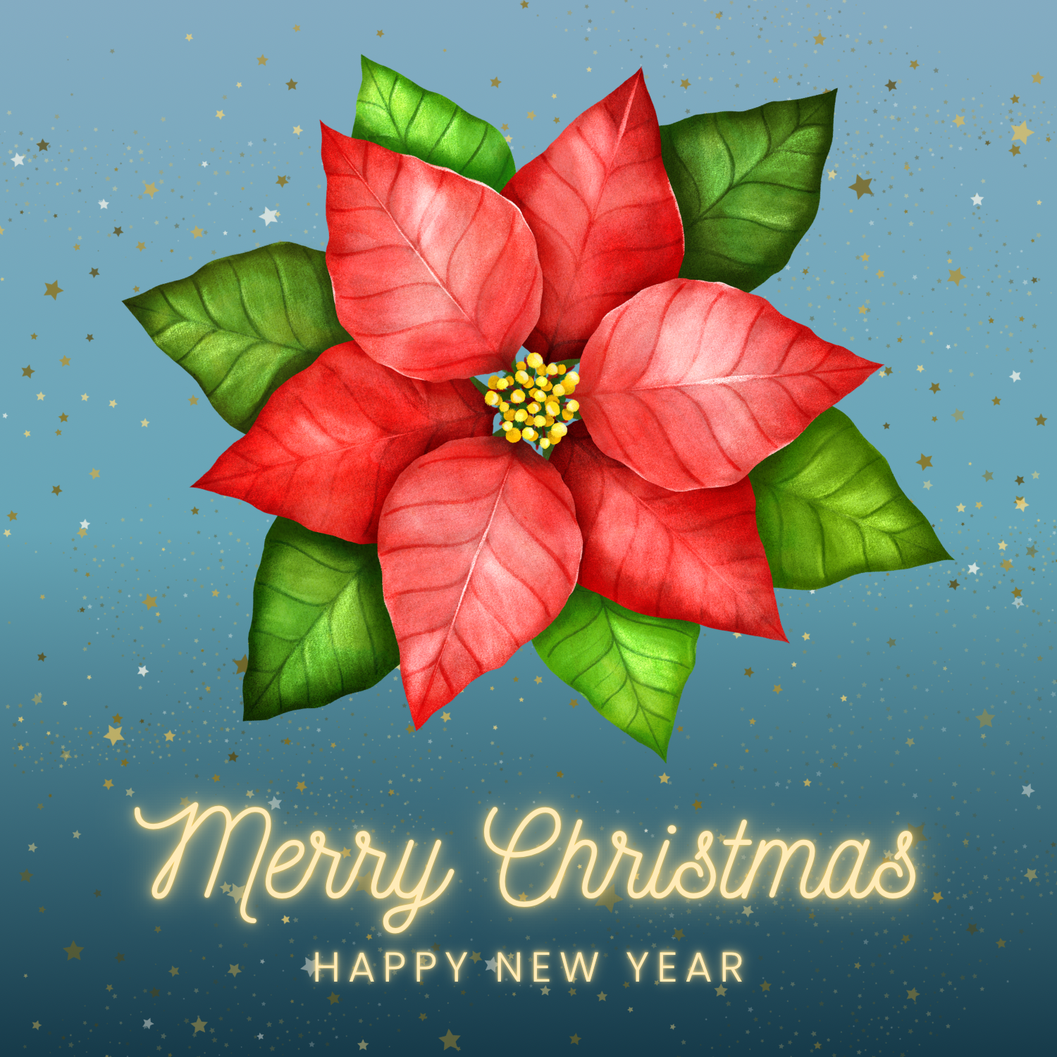 Merry Christmas poinsettia - image 2 - student project