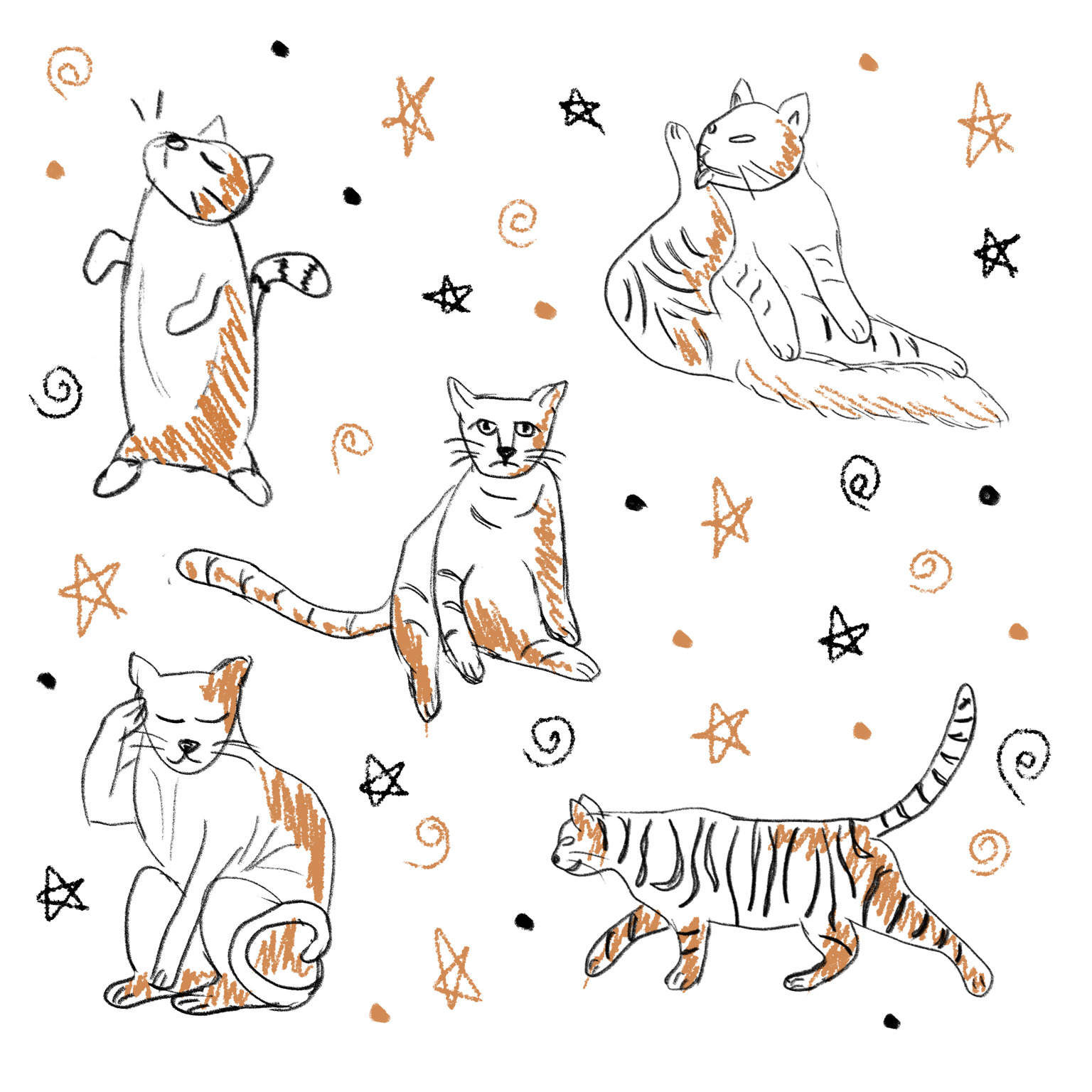Cat sketches day 1 & 2 - image 1 - student project