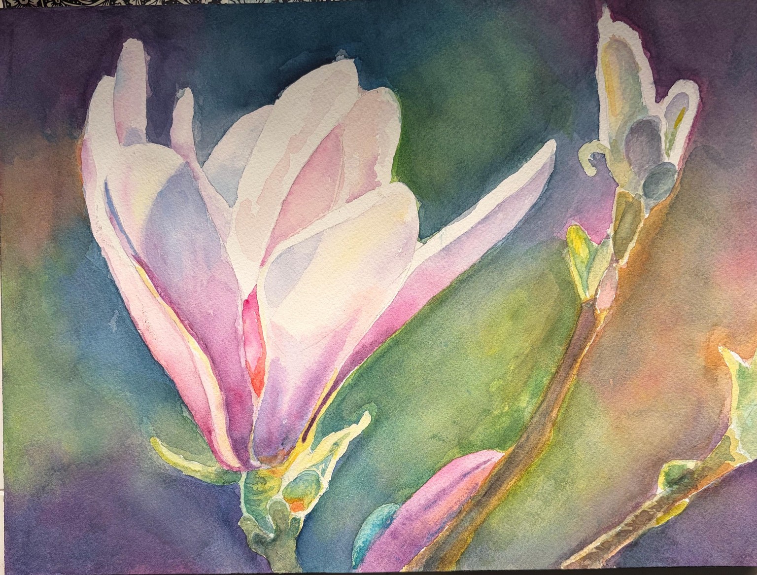 Cheryls Magnolia - image 1 - student project