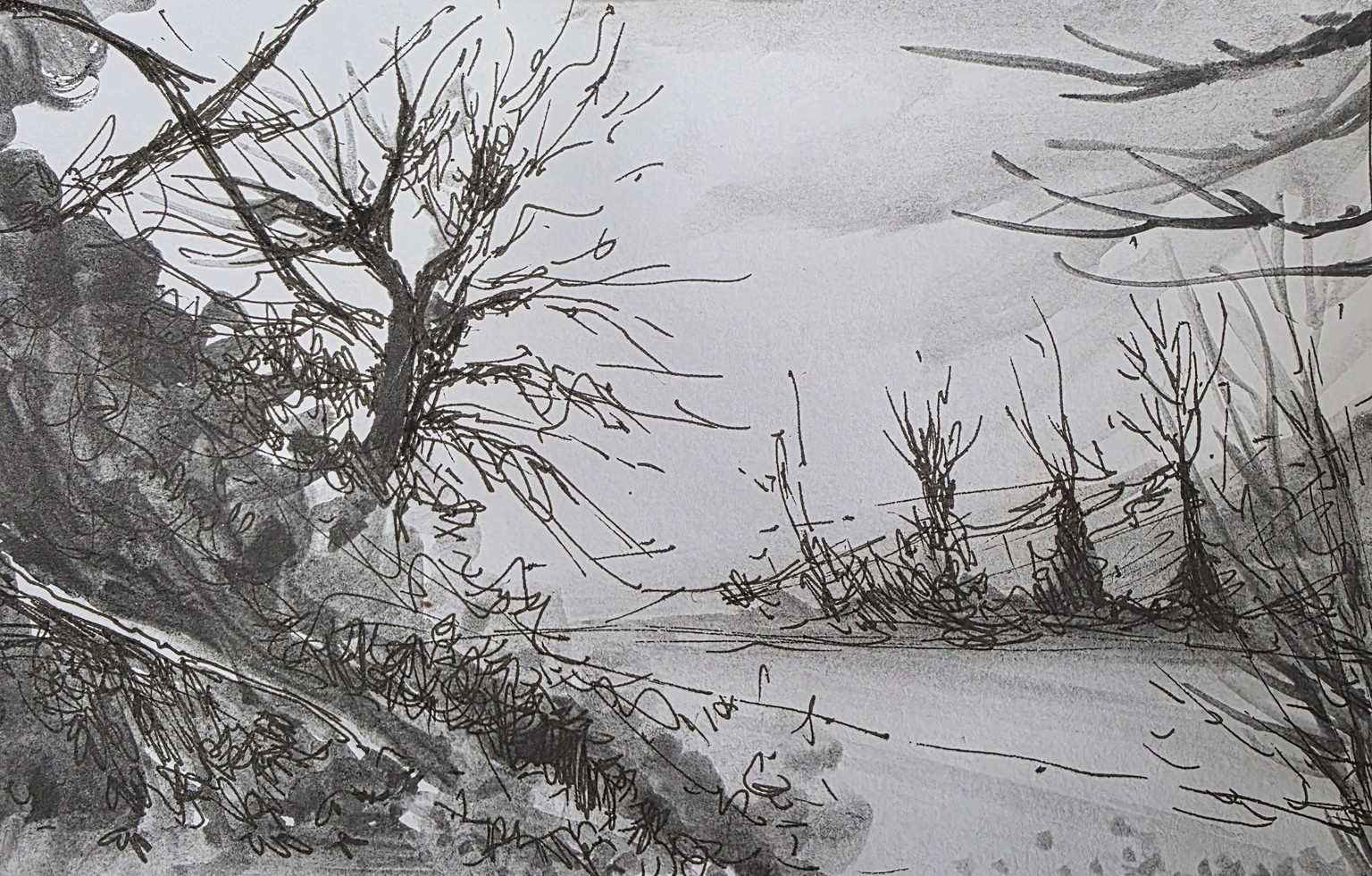 Turning my photos into sketches - image 2 - student project