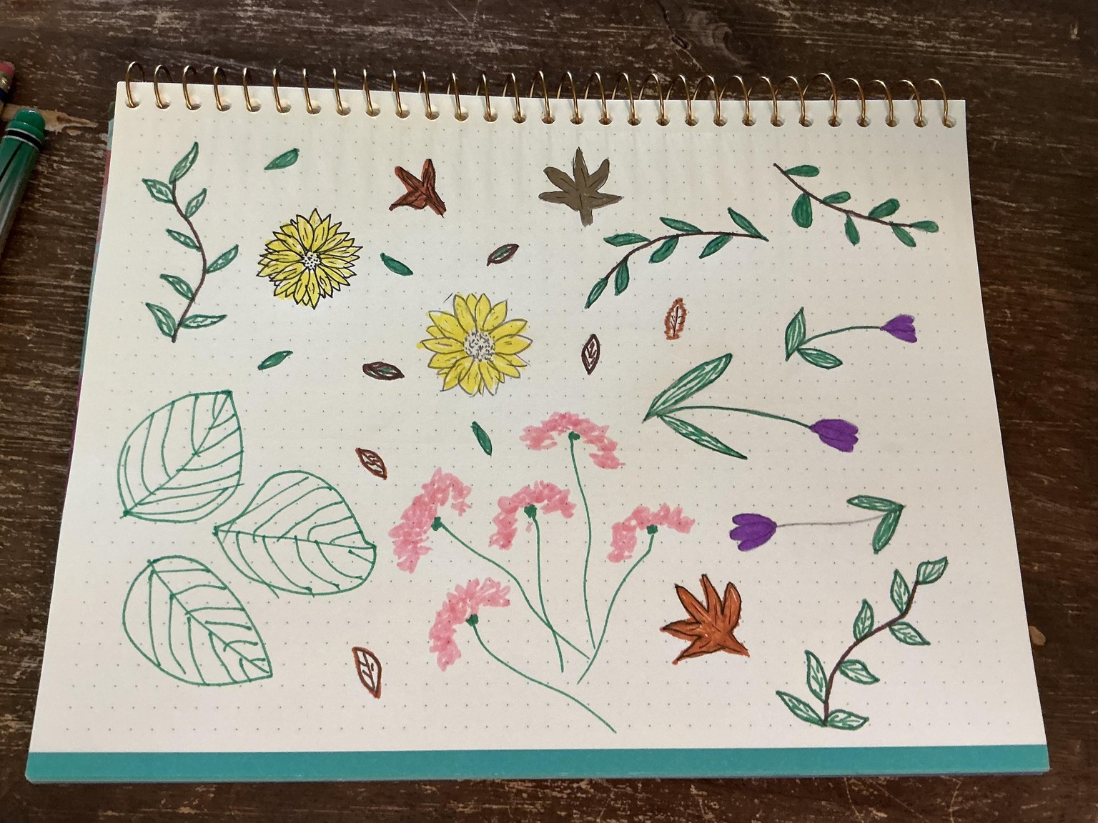 Day 2 Nature - image 1 - student project