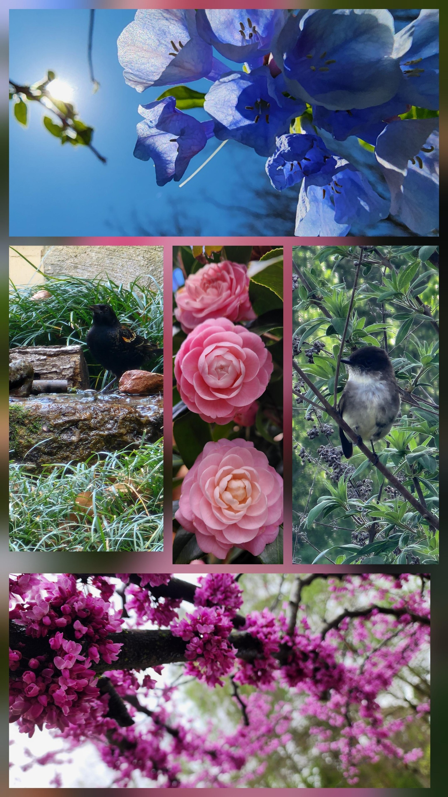 Natura - image 1 - student project