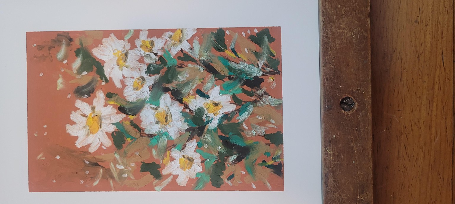 Daisies in oil pastels - image 1 - student project