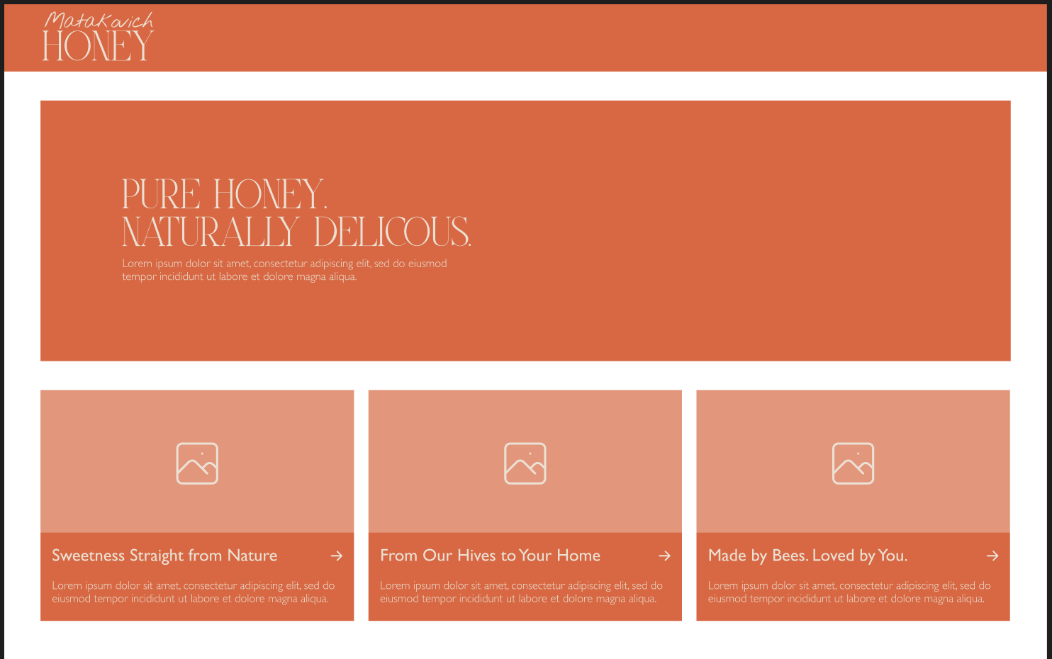 Matakovich Honey Wireframe - image 12 - student project