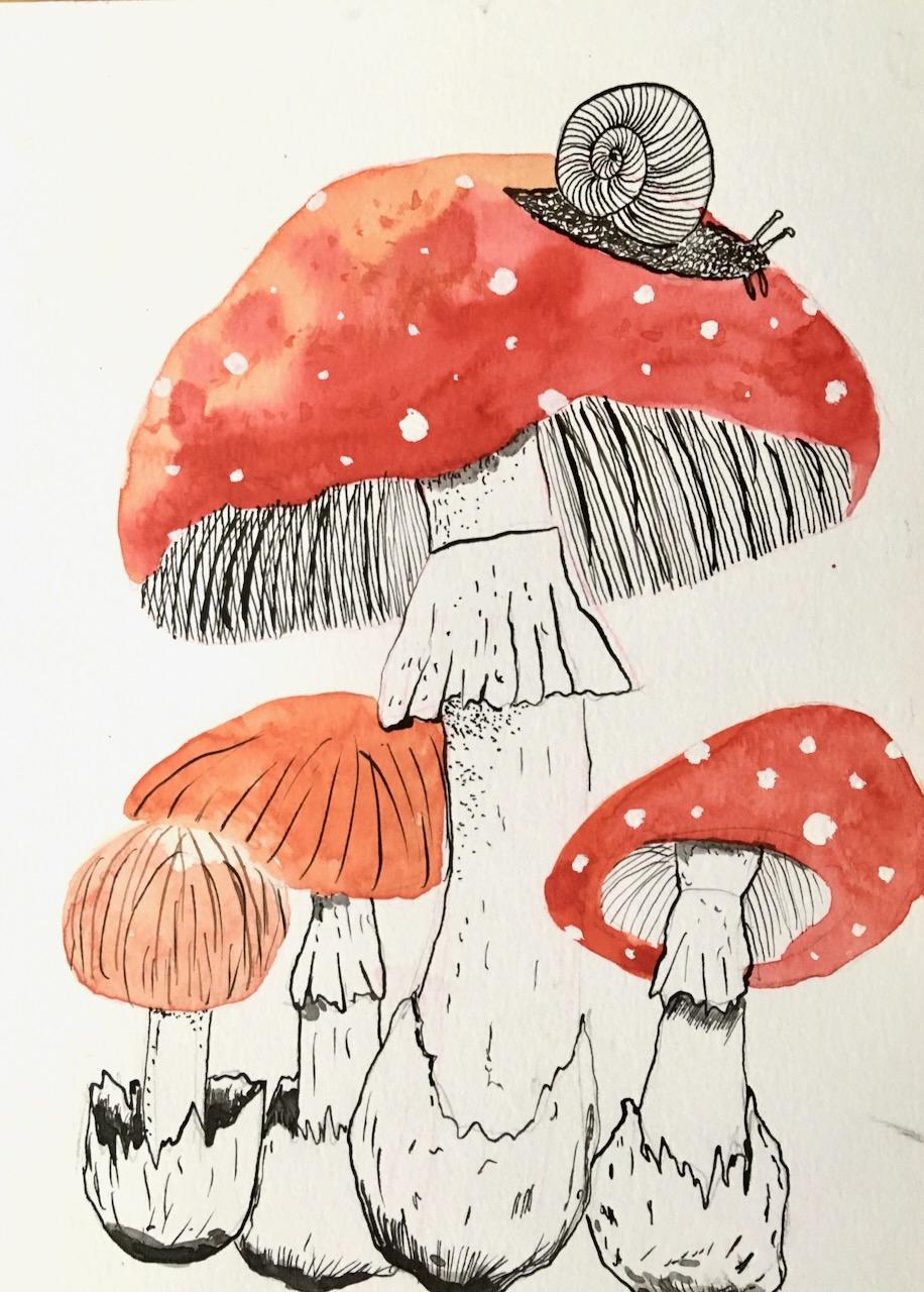 Mushrooms and company - image 3 - student project