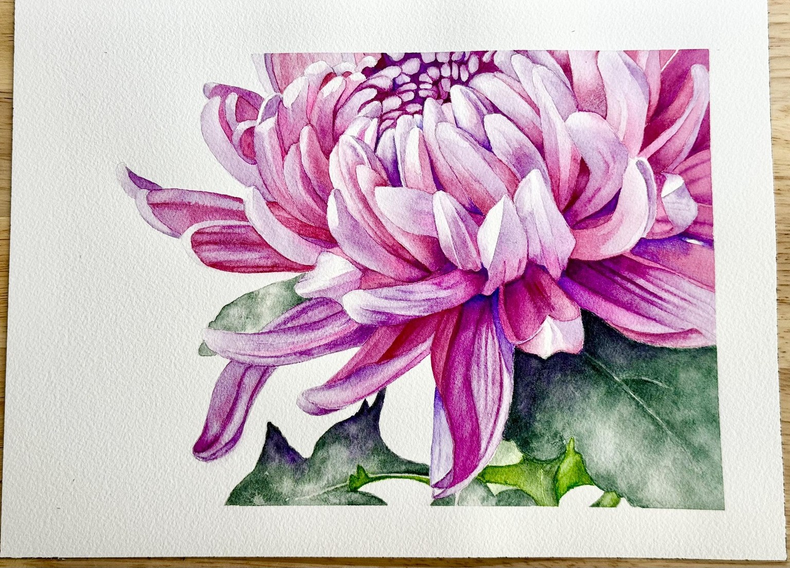 Watercolor Chrysanthemum - image 1 - student project