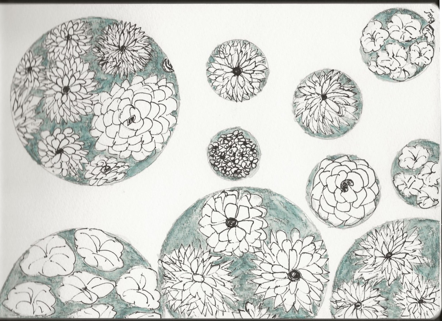 Botanic Bliss Sketches - image 3 - student project