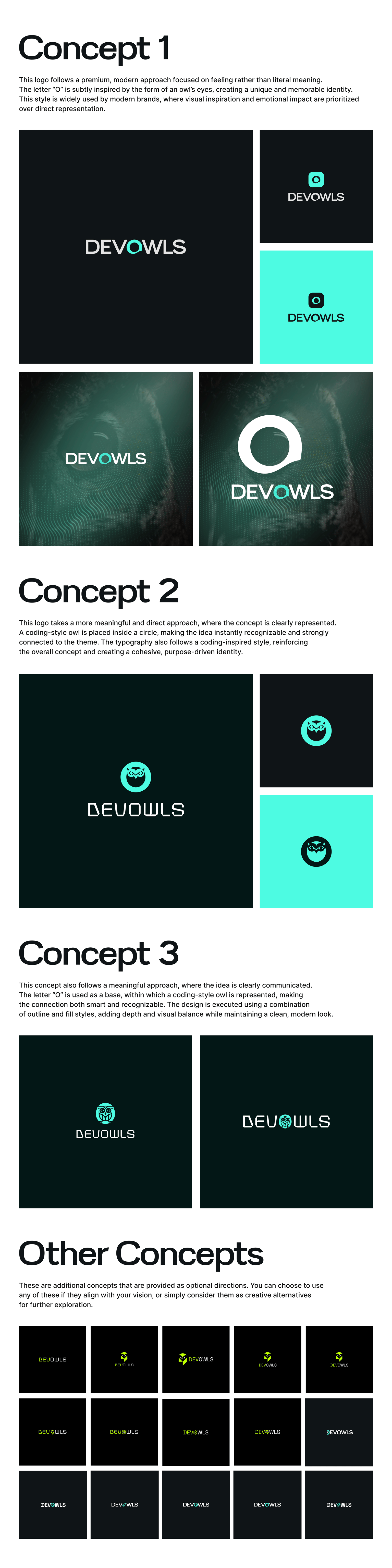 LOGO DESIGN FOR DEVOWLS - image 1 - student project