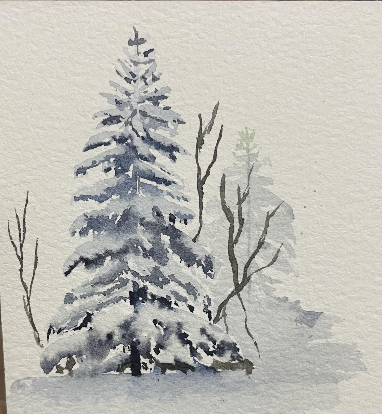 Pine tree - image 2 - student project