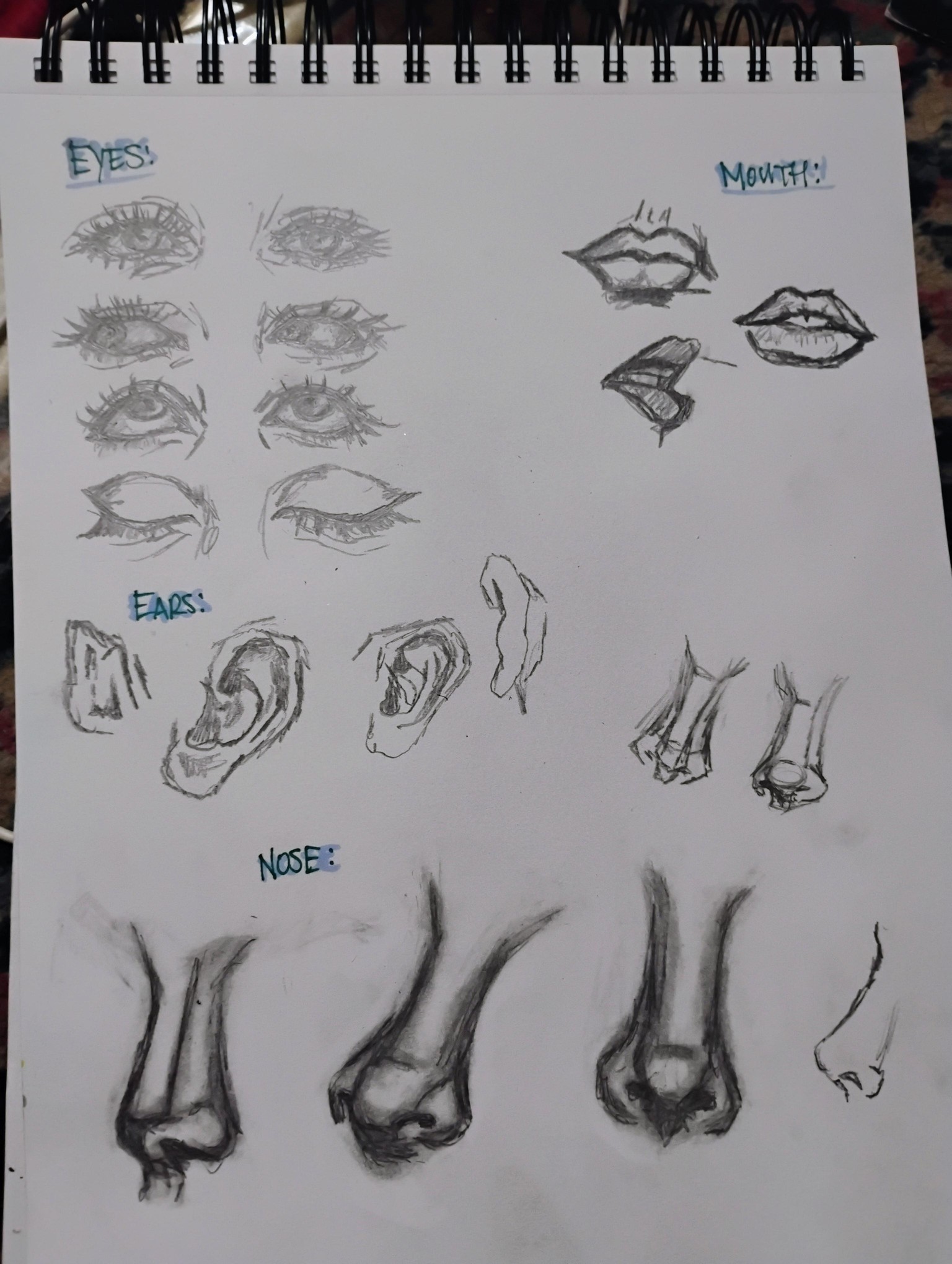 Portrait and practice - image 3 - student project