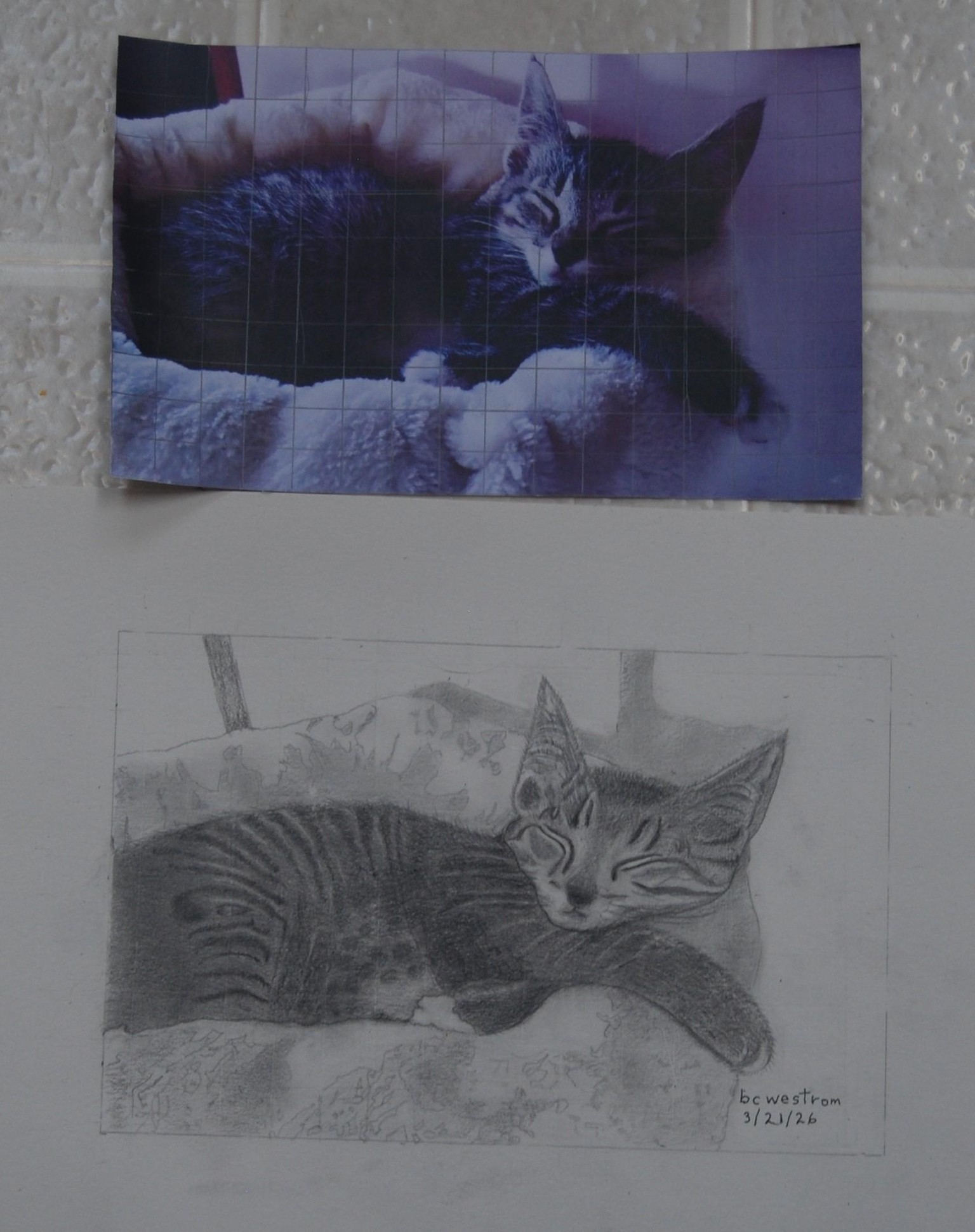 Penny - image 1 - student project