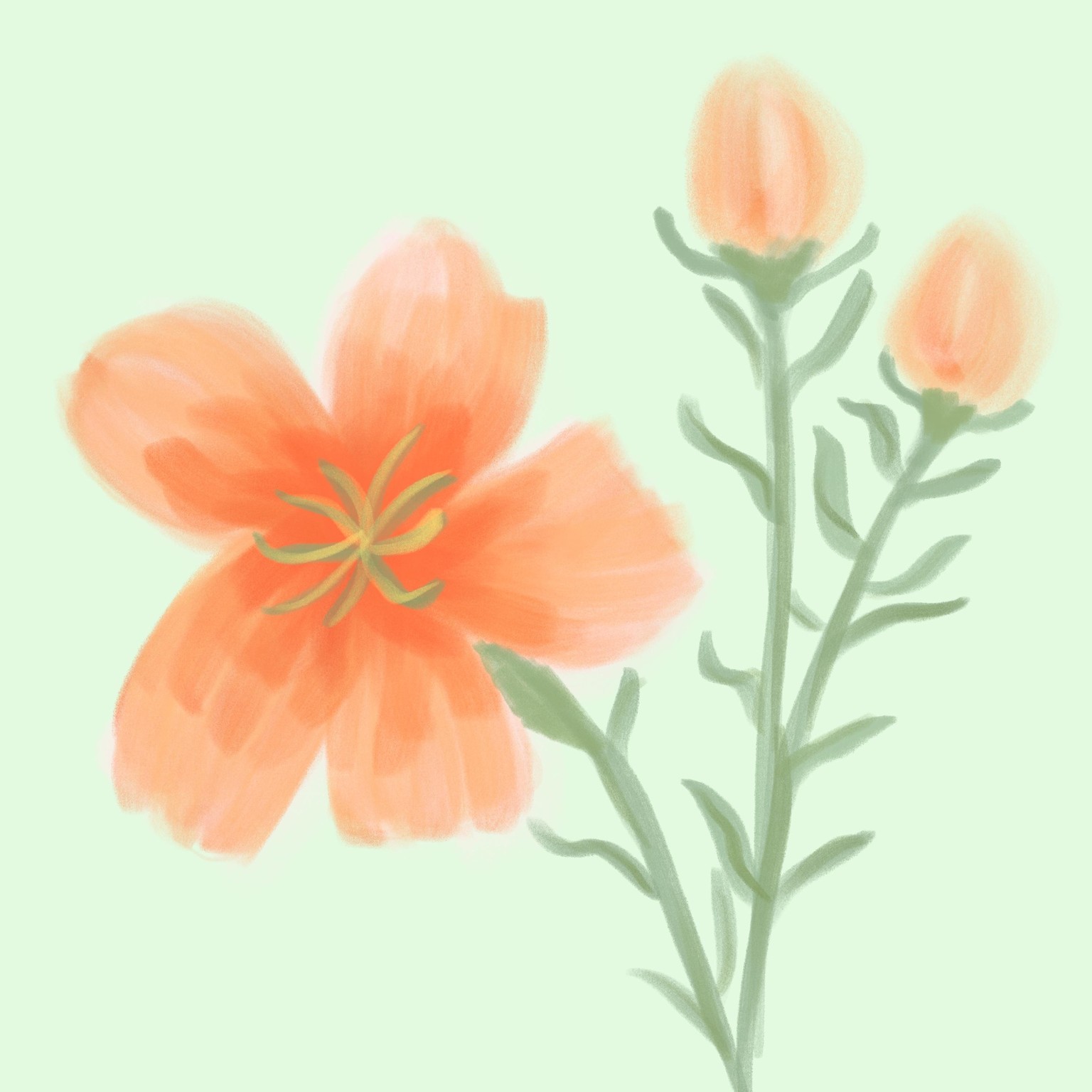 Loose floral - image 1 - student project
