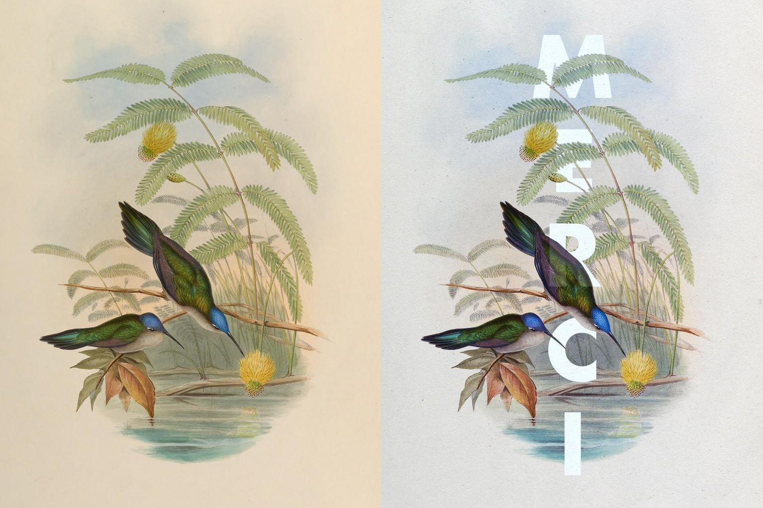 Botanical Design Exploration - image 8 - student project