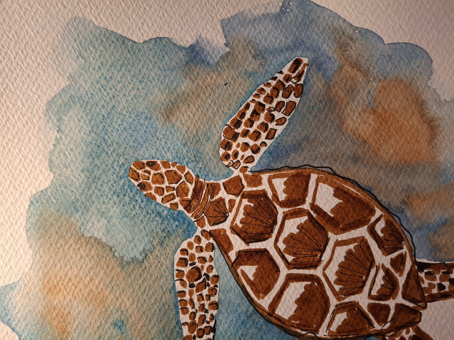 Quick watercolor sketches - image 3 - student project