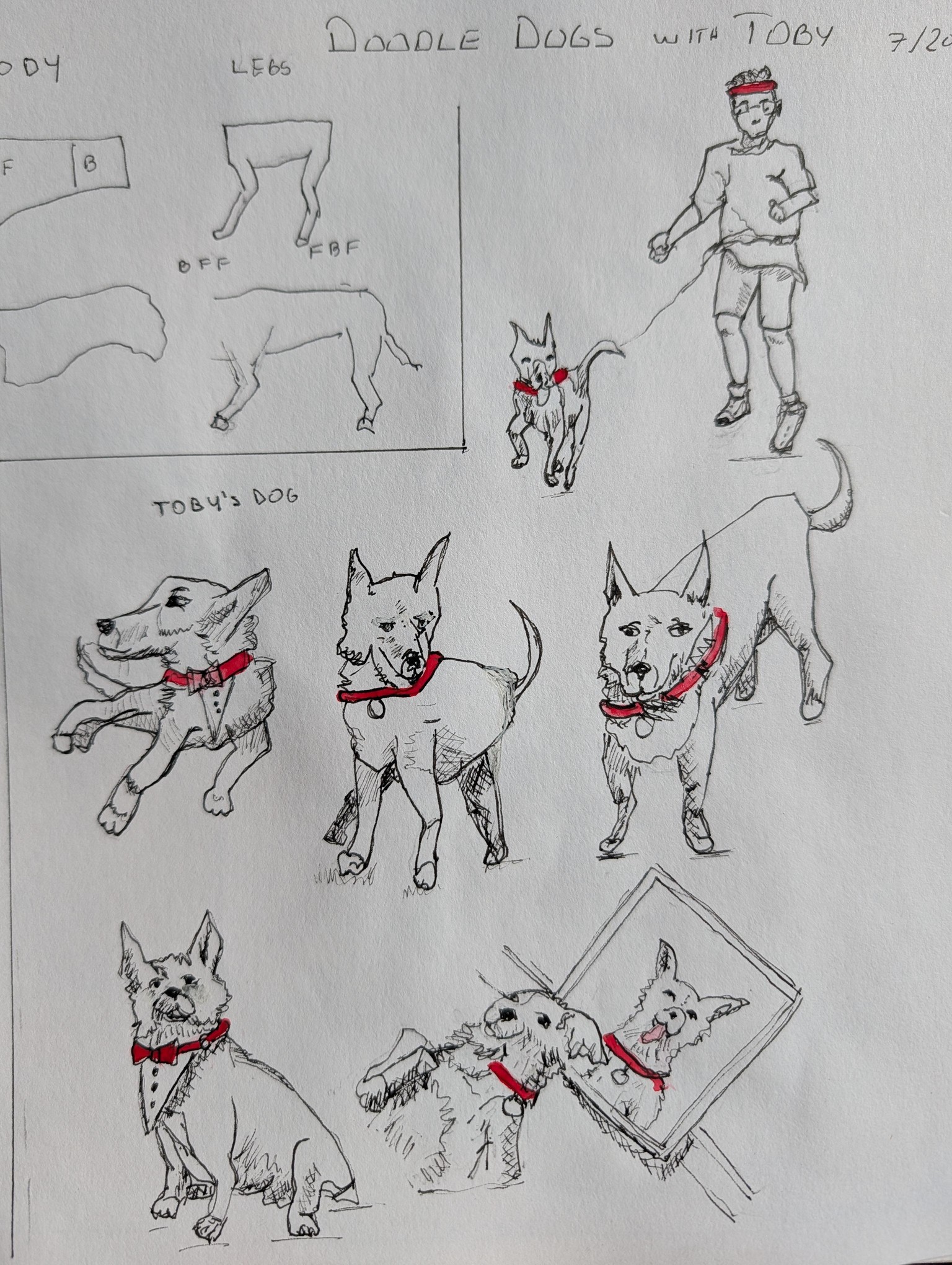 Doodle Dogs with Toby - image 2 - student project