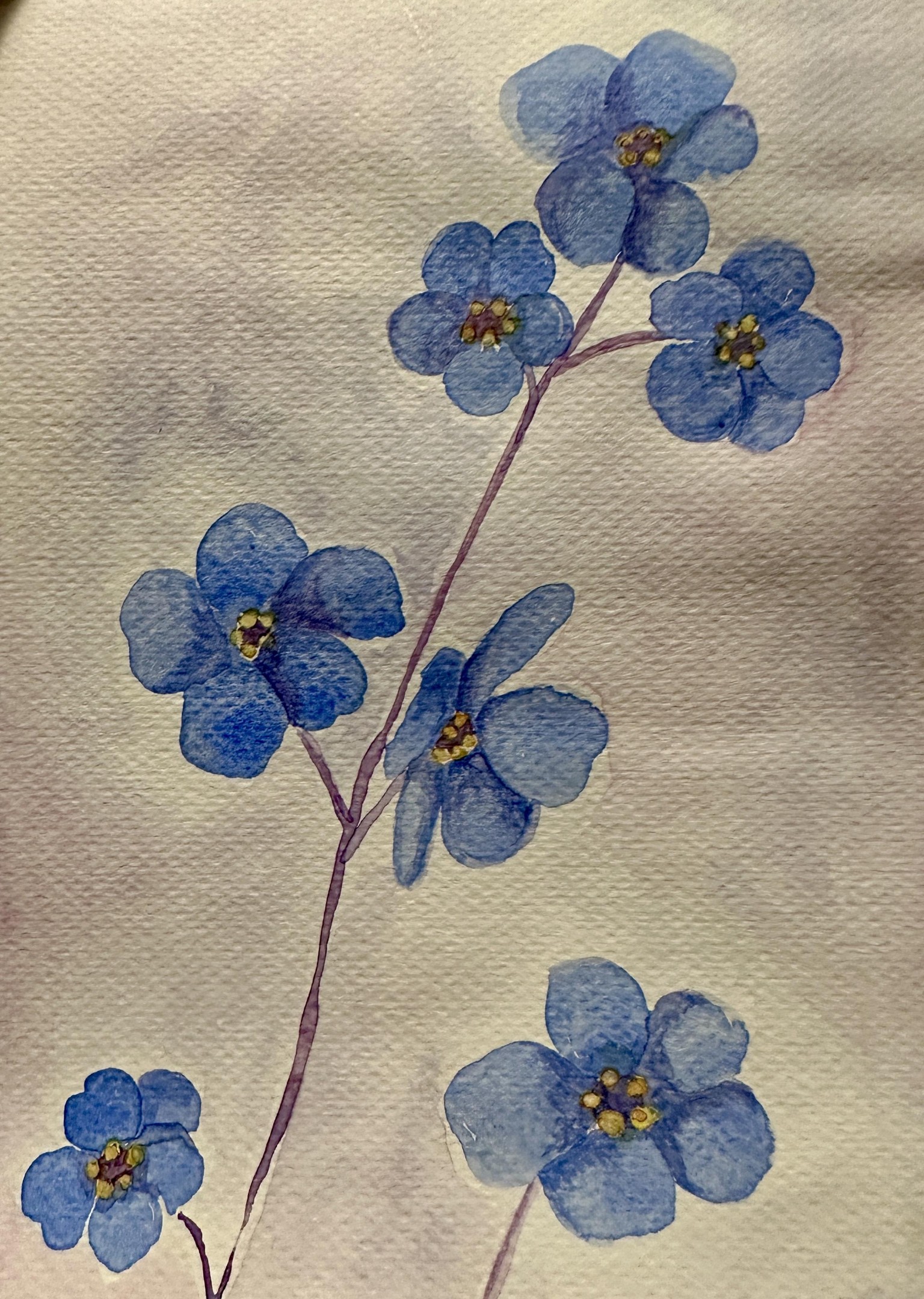 Scary Berries! - image 1 - student project