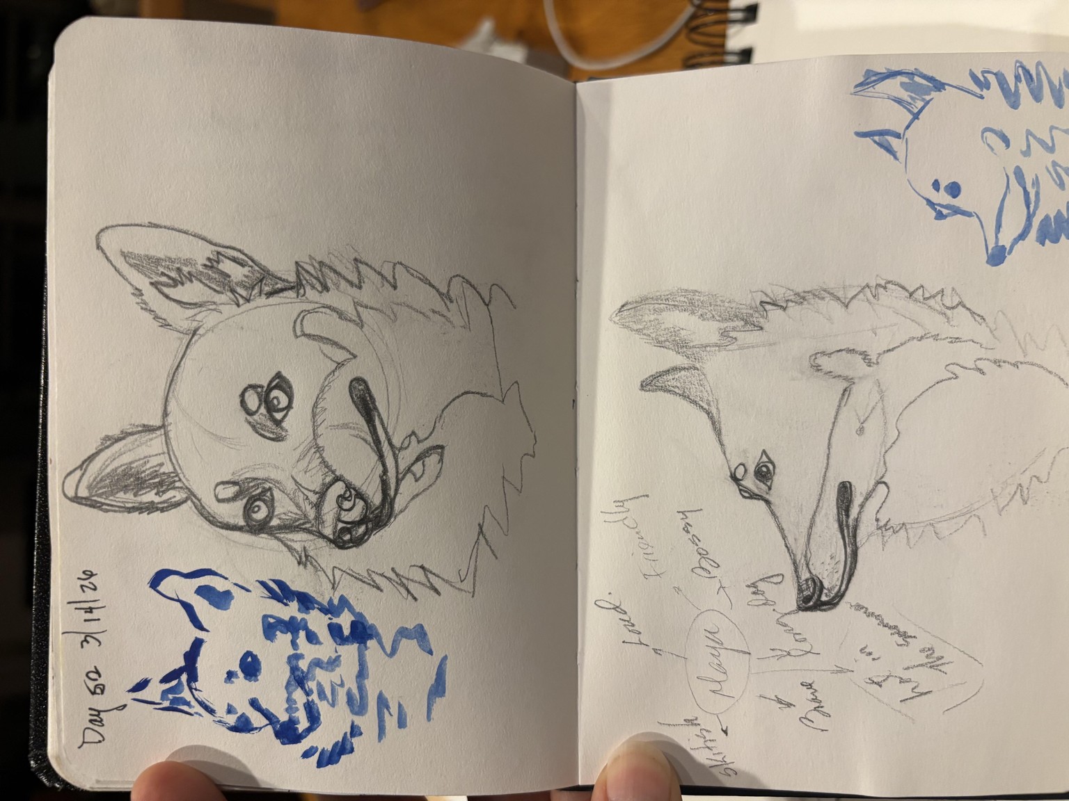 Animal characters progression - image 3 - student project