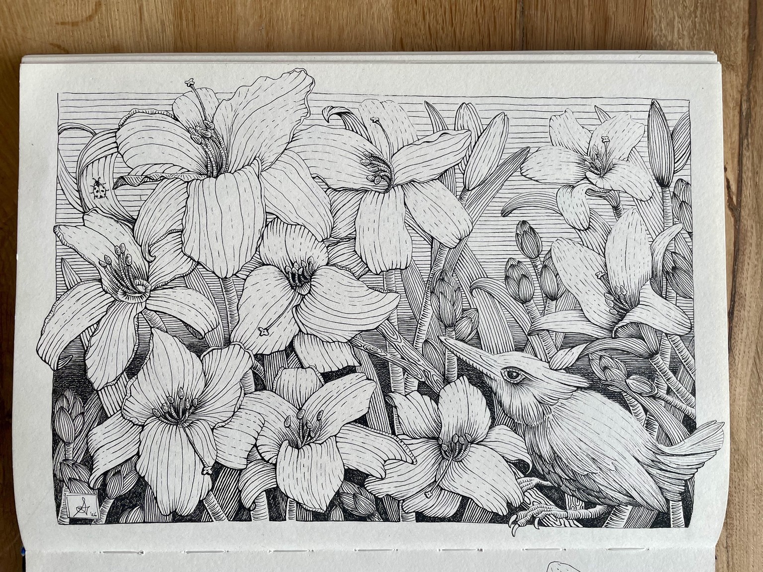 Pen and ink lily garden - image 1 - student project