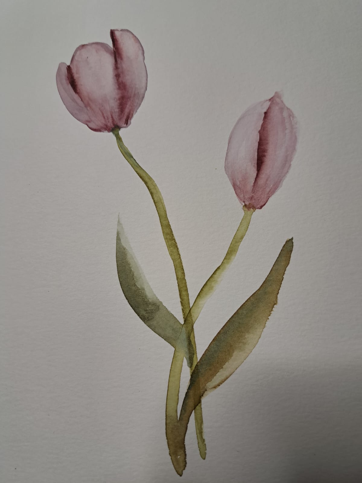 Practicando texturas en tulipanes - image 2 - student project