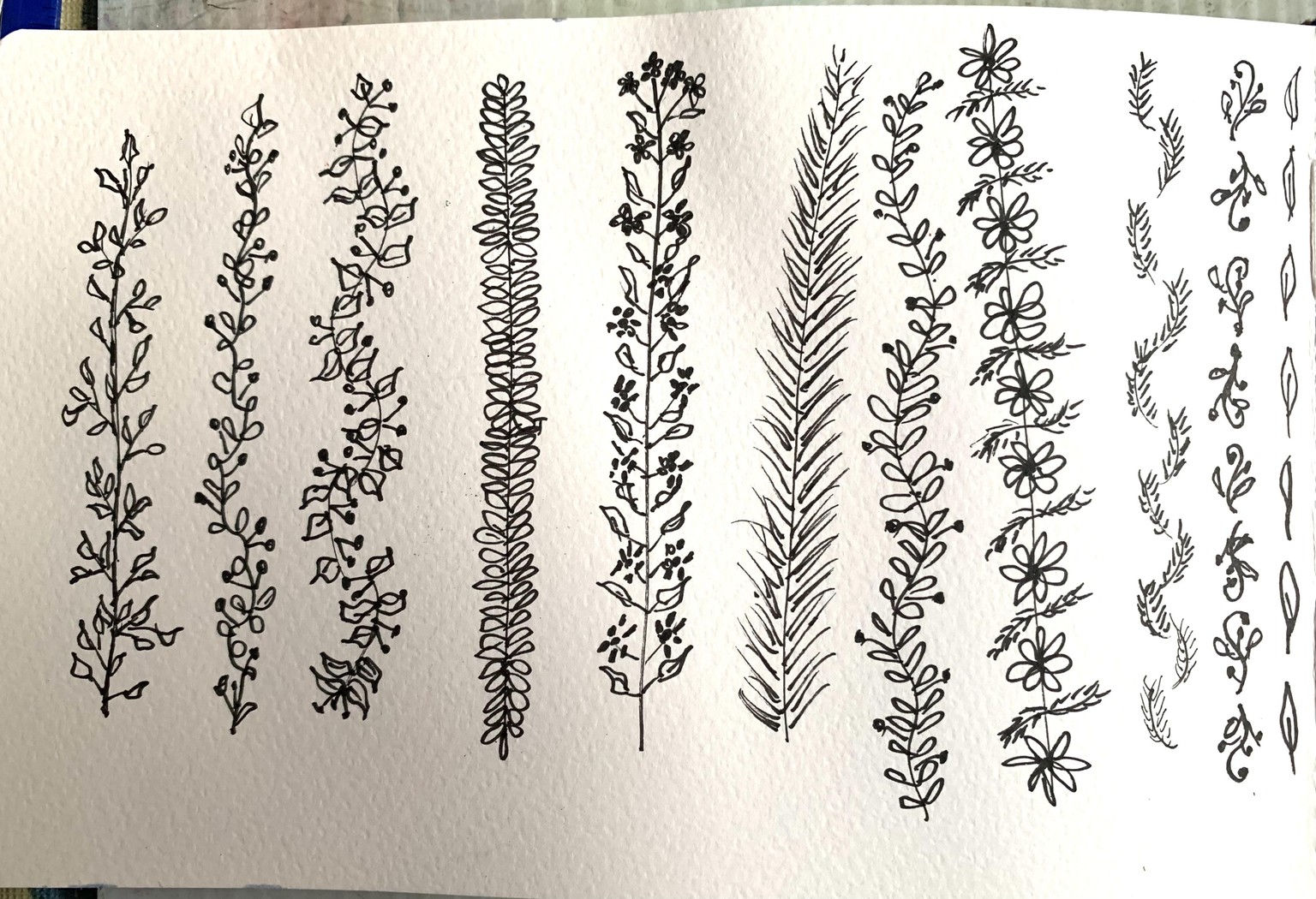 Botanical Doodles - image 6 - student project