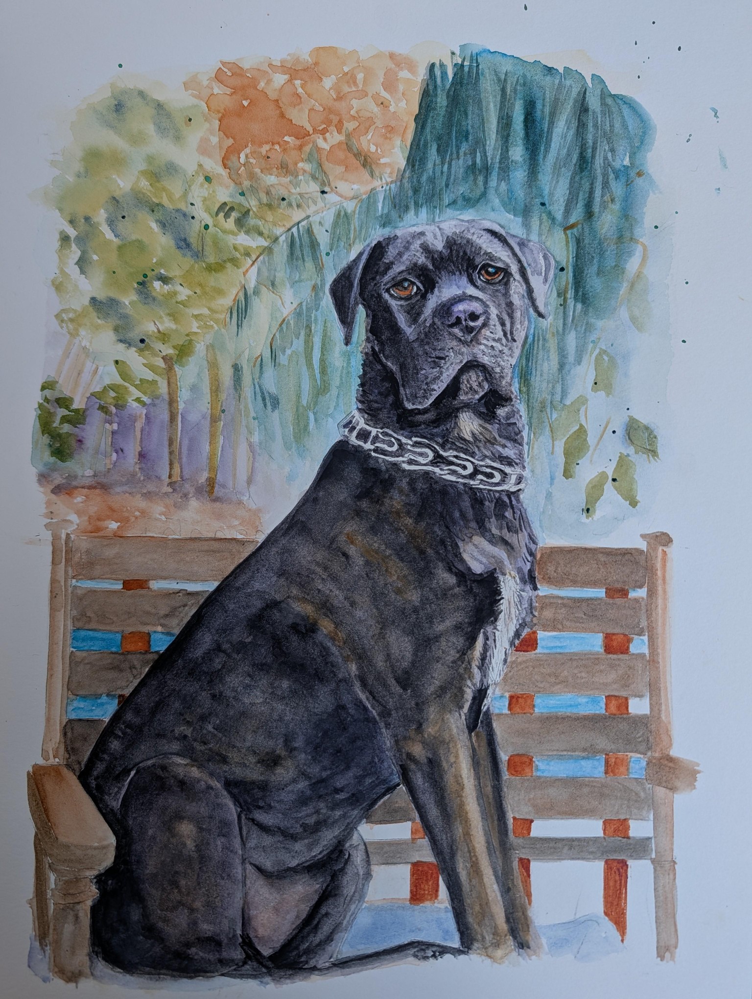 Watercolor Pet Portraits: Black Dogs with Emily - image 1 - student project