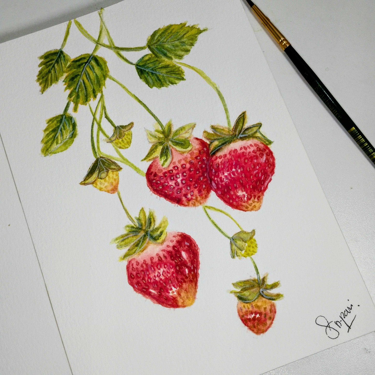 Strawberry - image 1 - student project