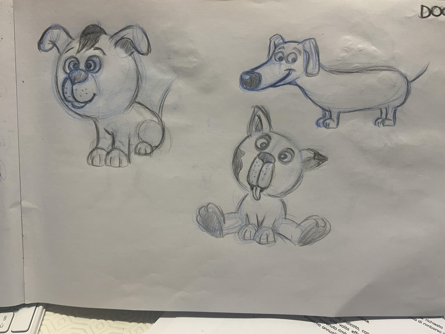The Ultimate course for Darwin CARTOONY FARM ANIMALS - image 2 - student project
