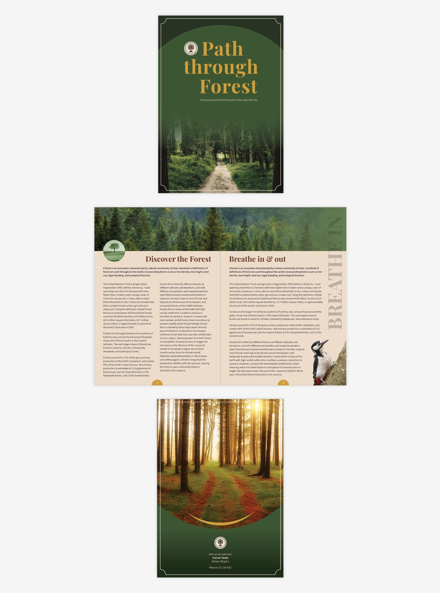 Affinity (by Canva) Essentials – Vector, Pixel & Layout Made Easy - image 1 - student project