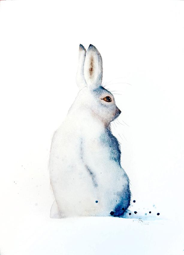 Flurry the snow hare - image 1 - student project