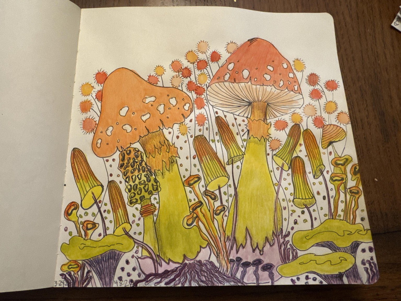 Mushroom Madness - image 1 - student project