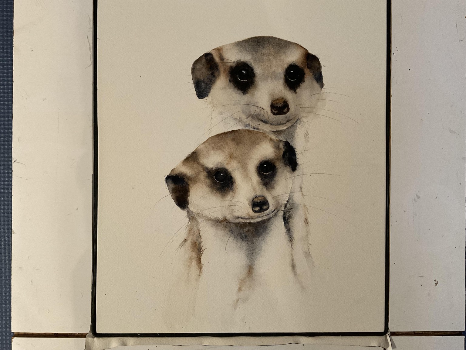 Meerkats - image 1 - student project