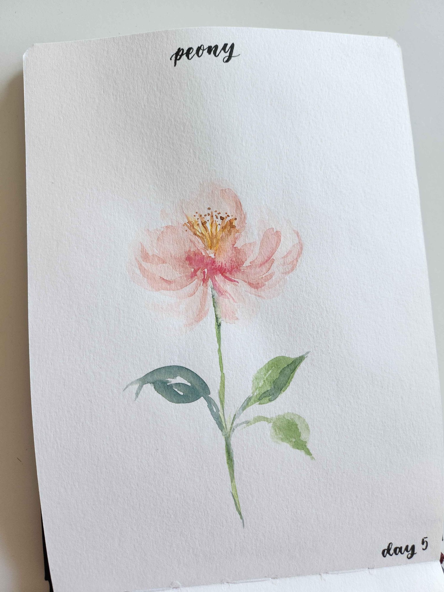 Spring florals - image 5 - student project