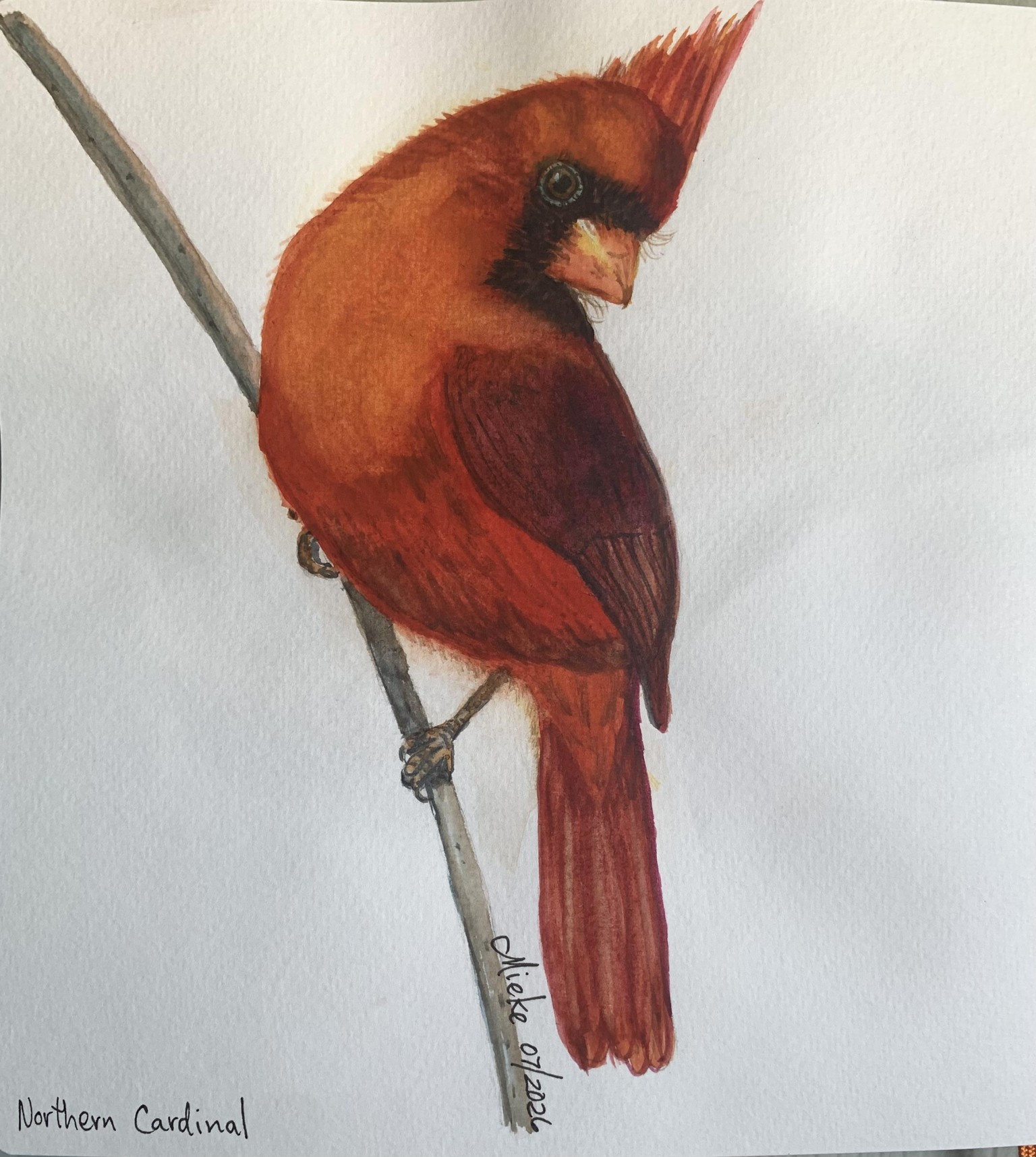 Watercolour birds - wet on wet - image 4 - student project