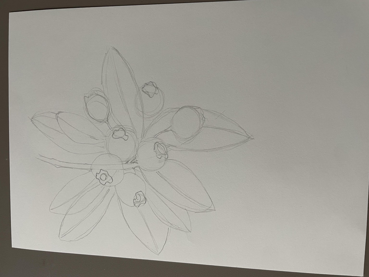 Markers - expressive fruits - image 8 - student project