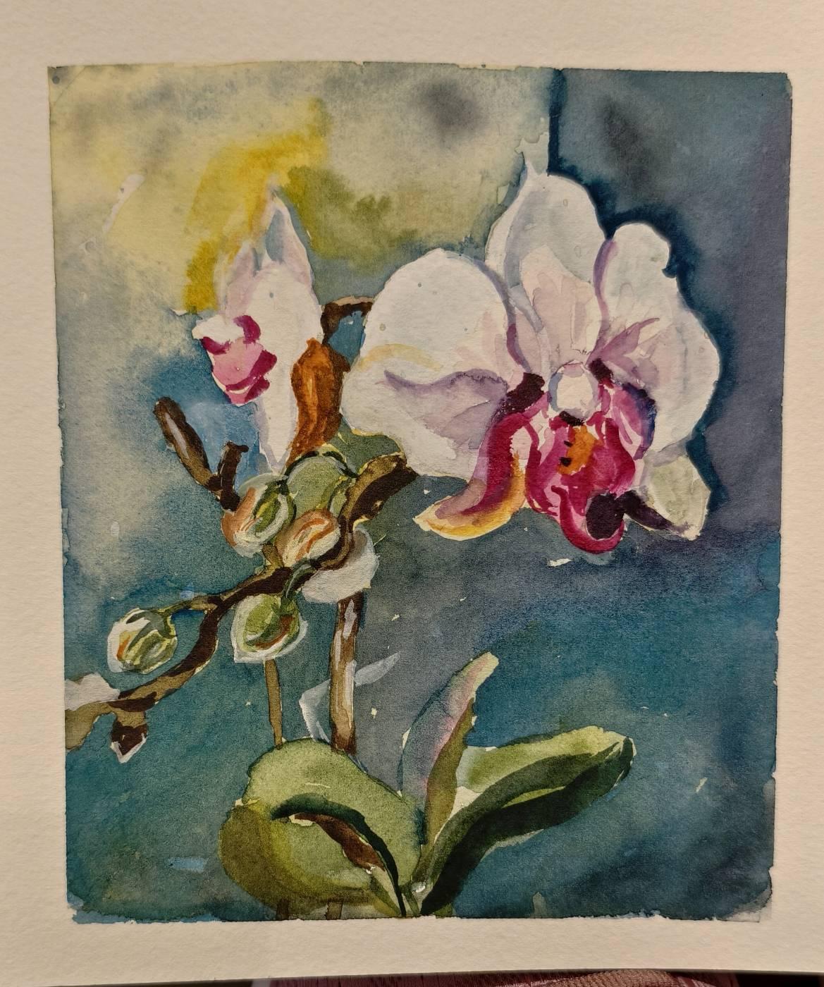 Brave Beauty - image 1 - student project