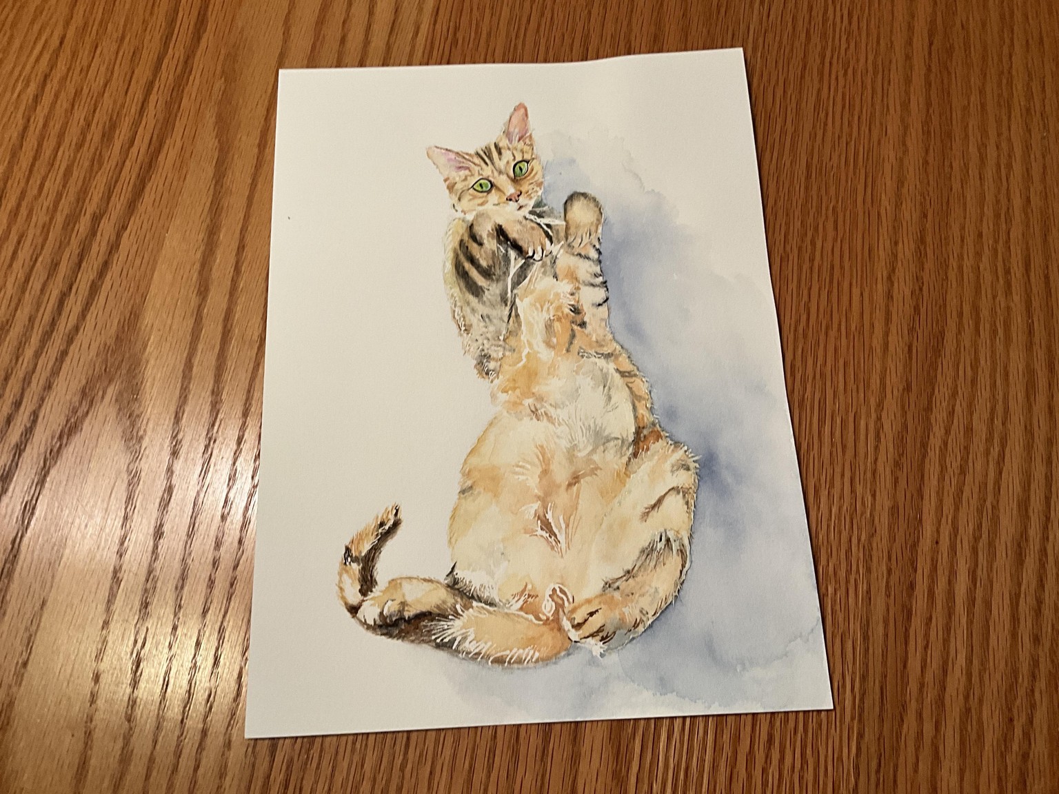 My painting of a cat - image 1 - student project