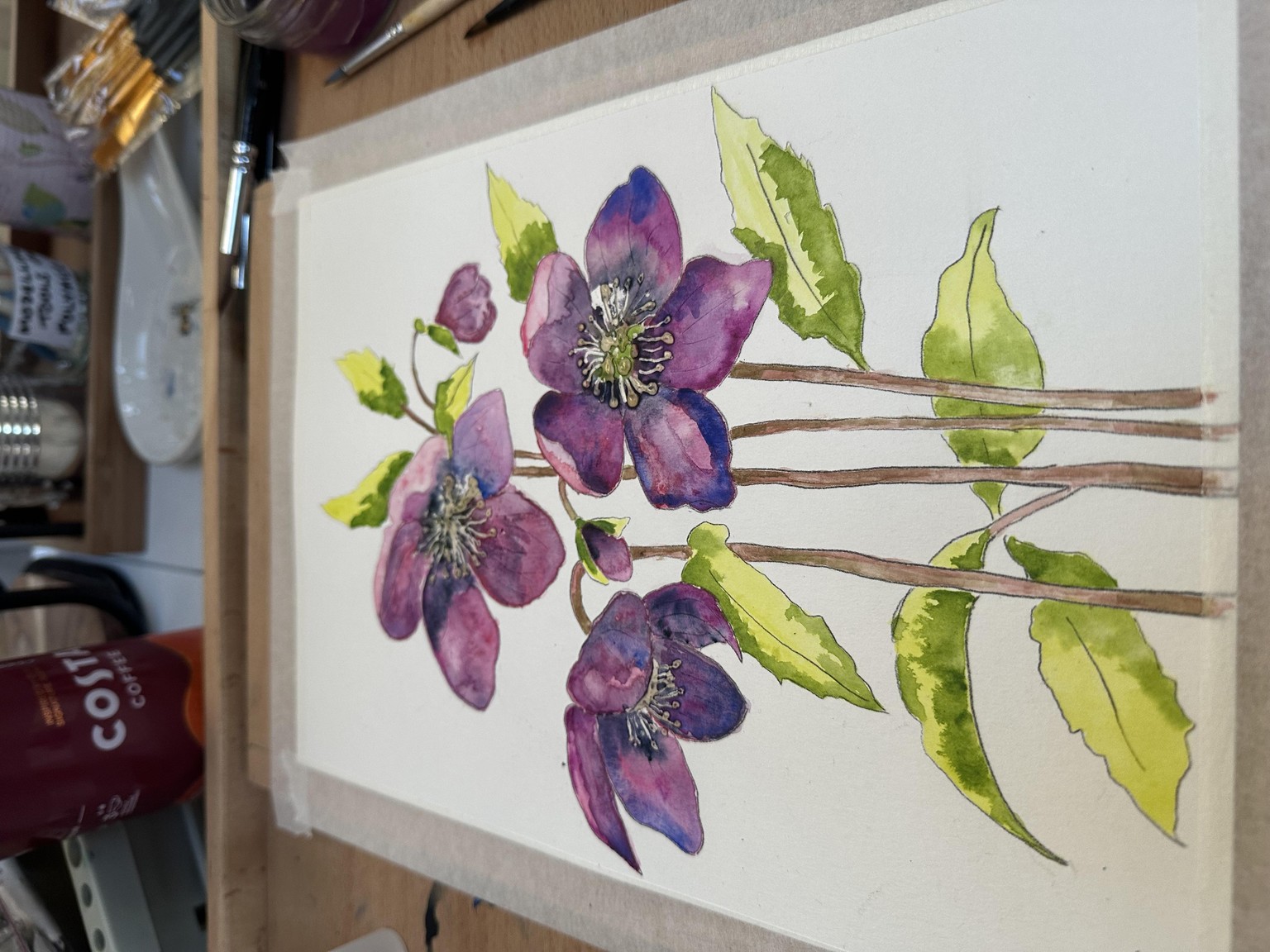 Hellebores - image 4 - student project